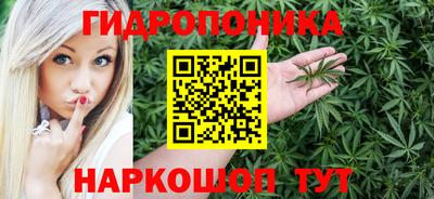 стафф Будённовск
