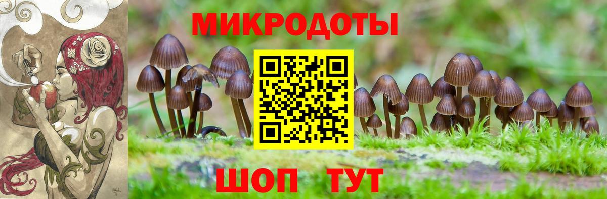 Псилоцибиновые грибы Psilocybe  Вход с VPN  Иркутск  Псилоцибиновые грибы Psilocybe 